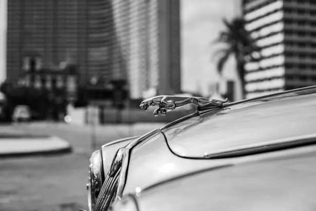 BetRegal Kaszinó Android/iOS Alkalmazás